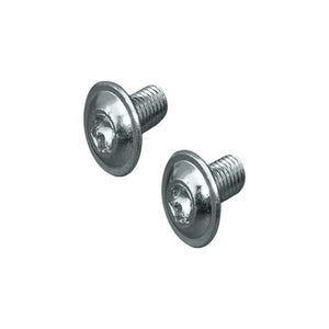 SZ TORNILLO TIPO TORX Rittal M6X12MM-300 P 2 tornillos plateados