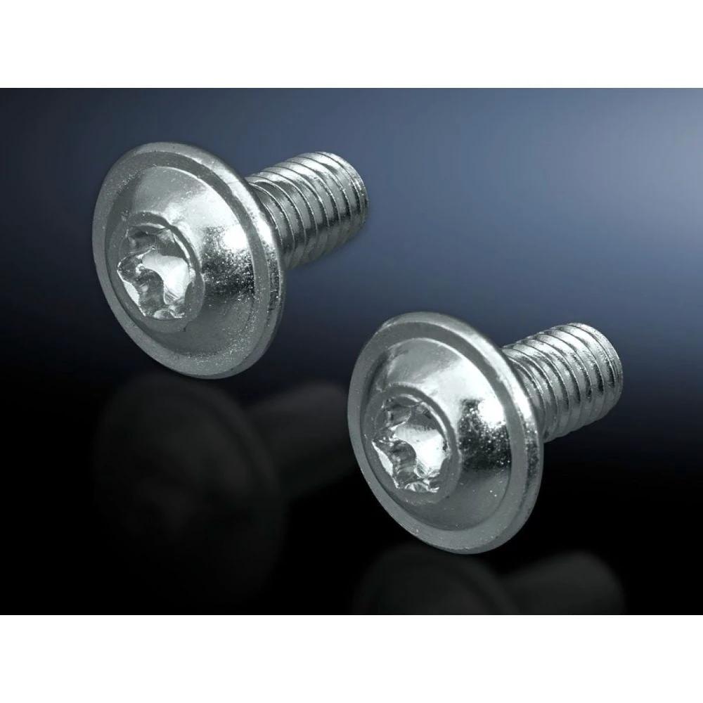 Tornillo Rittal 2504500 SZ TORNILLO TIPO TORX M6X12MM-300 P