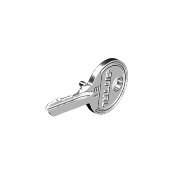 Rittal 2532000 SZ LLAVE DE SEGURIDAD 3524E (2P.)